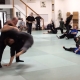 Injury Dynamics - Live Training Membership